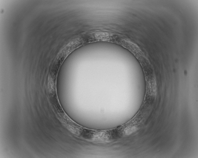 X0000086760705200704131116