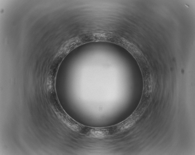 X0000086760706200704131116