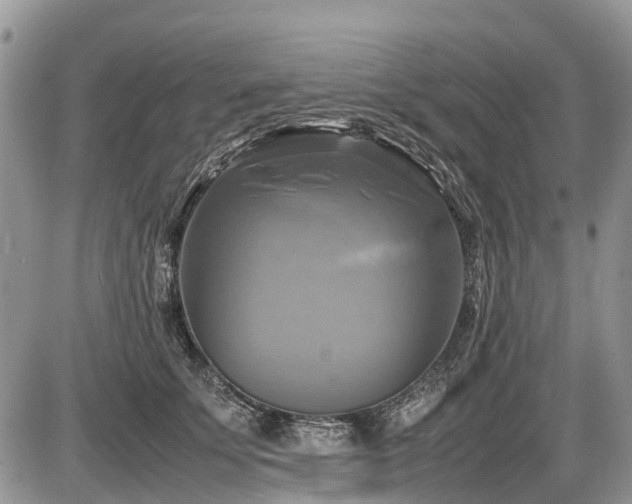 X0000086760707200704131116