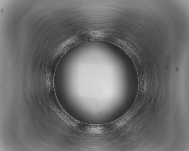 X0000086760710200704131116