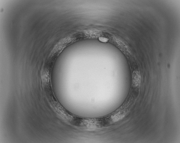 X0000086760713200704131116