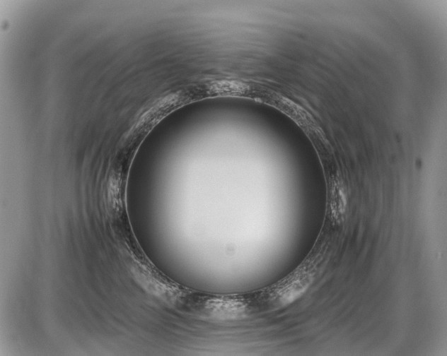 X0000086760714200704131116