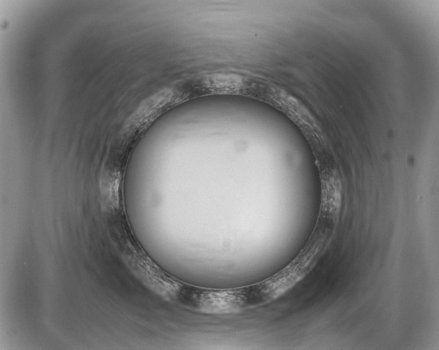 X0000086760717200704131116