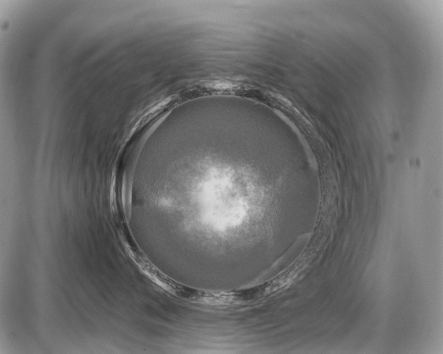 X0000086760720200704131116