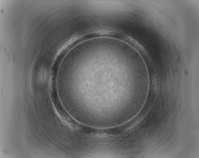 X0000086760730200704131115