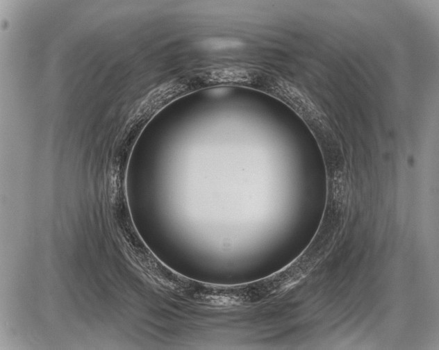 X0000086760741200704131115