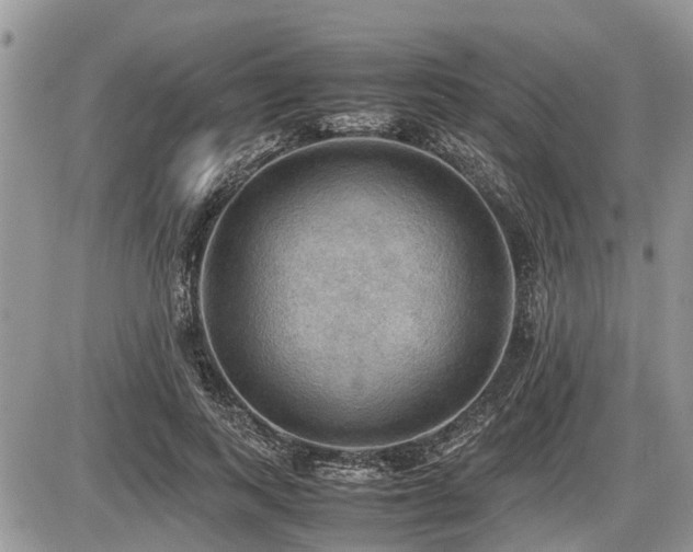 X0000086760743200704131115