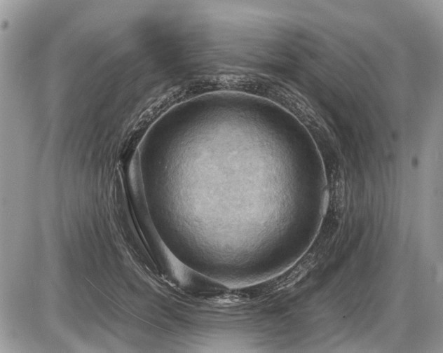 X0000086760750200704131115