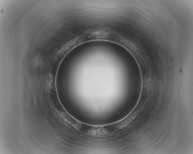 X0000086760752200704131115