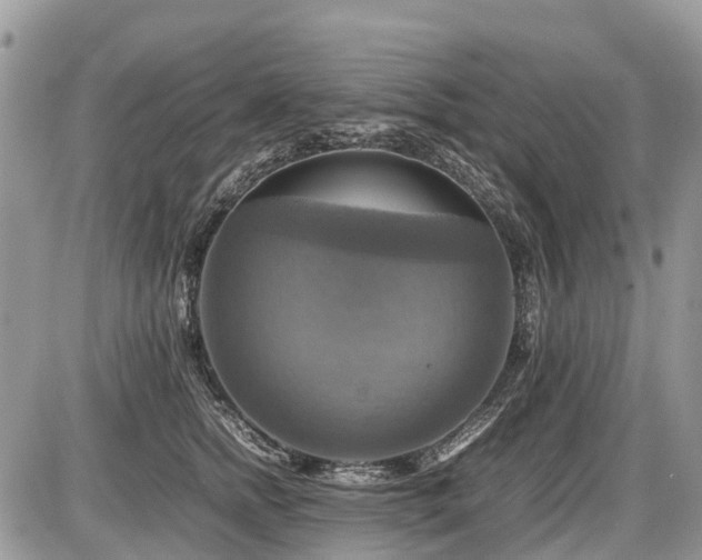X0000086760758200704131115
