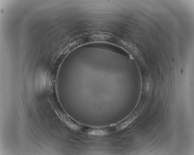 X0000086760759200704131115