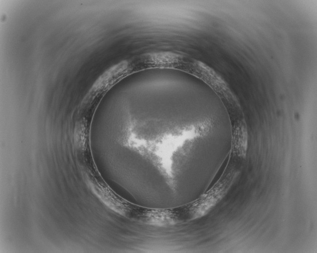 X0000086760762200704131115