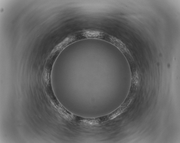X0000086760763200704131115