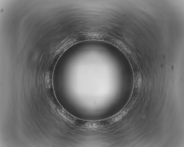 X0000086760764200704131115