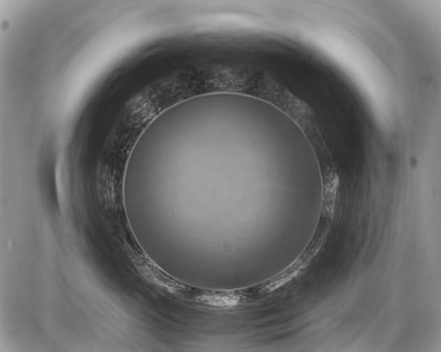 X0000086760765200704131116