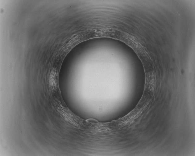 X0000086760770200704131115