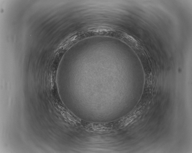 X0000086760774200704131115