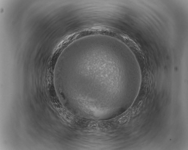 X0000086760776200704131115