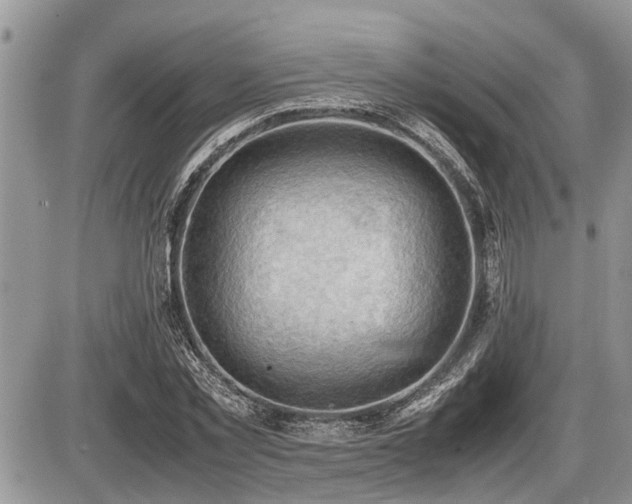X0000086760781200704131115