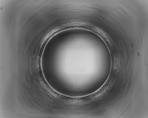 X0000086760786200704131114