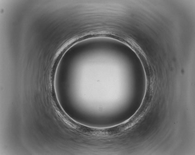 X0000086760789200704131114