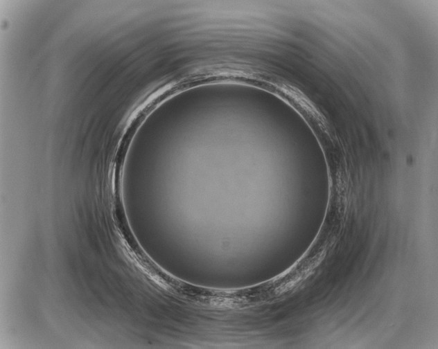 X0000086760790200704131114