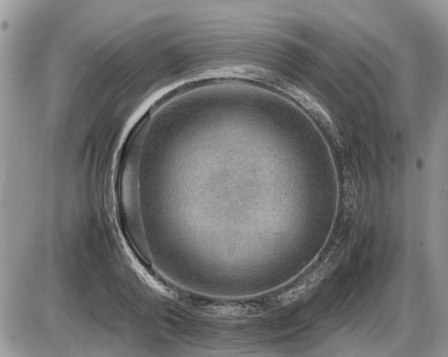 X0000086760792200704131114