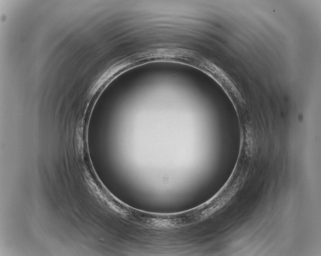X0000086760794200704131114