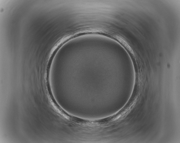 X0000086760797200704131114