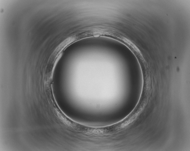X0000086760801200704131114