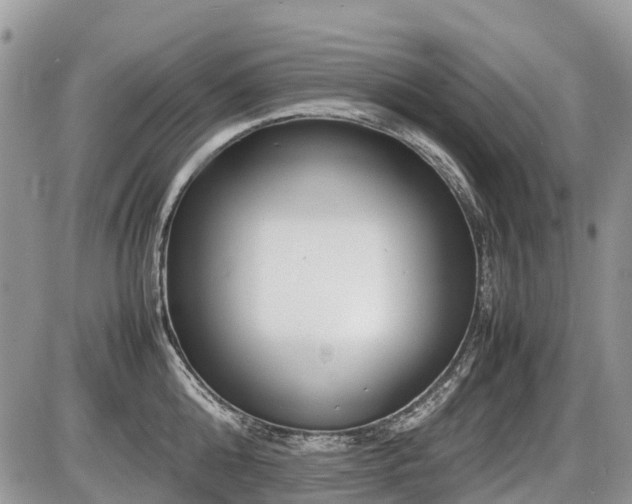 X0000086760808200704131114