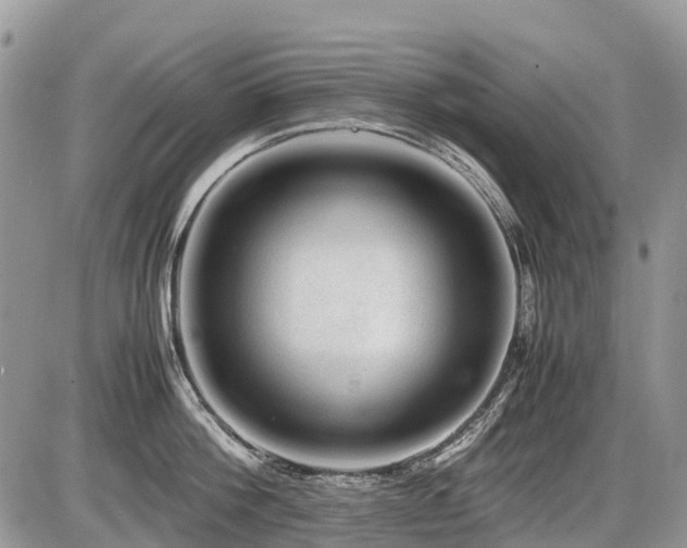 X0000086760812200704131114