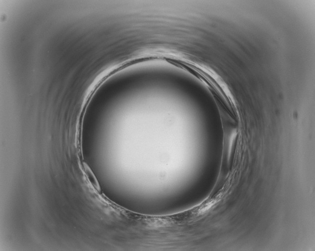 X0000086760815200704131114