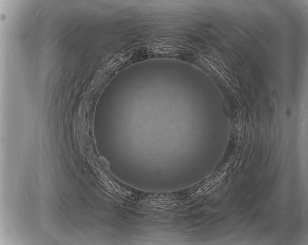 X0000086760817200704131113