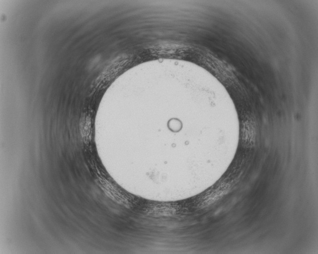 X0000086760820200704131113