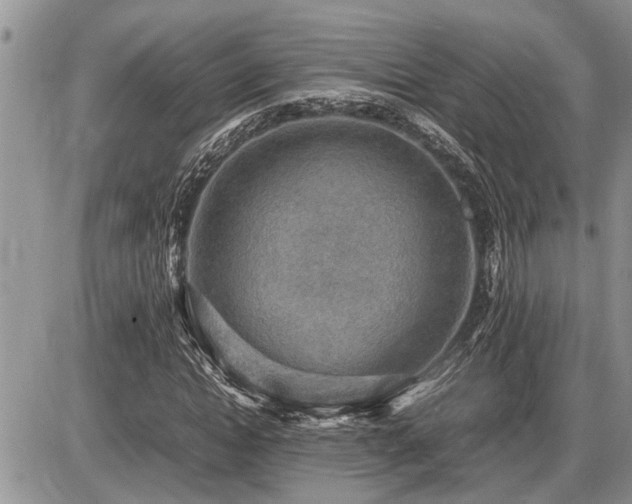 X0000086760822200704131113