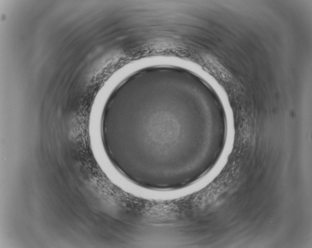 X0000086760824200704131113