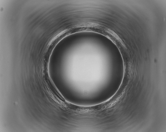 X0000086760826200704131113
