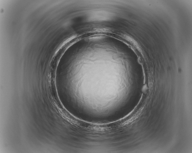X0000086760827200704131113