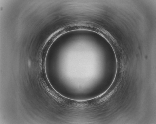 X0000086760830200704131113