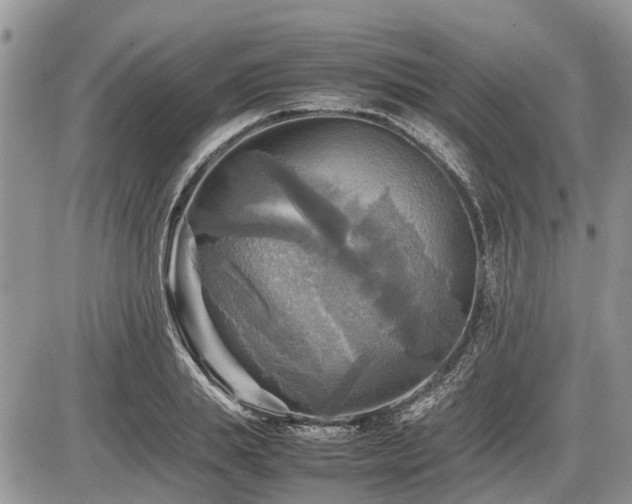 X0000086760839200704131114