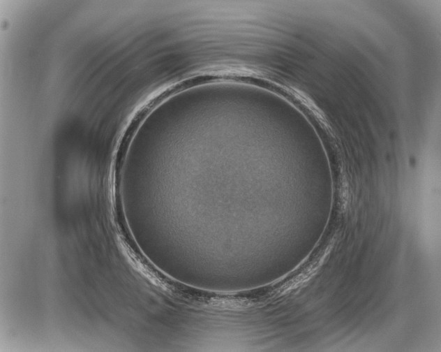 X0000086760840200704131114