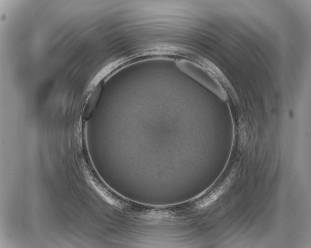 X0000086760842200704131114