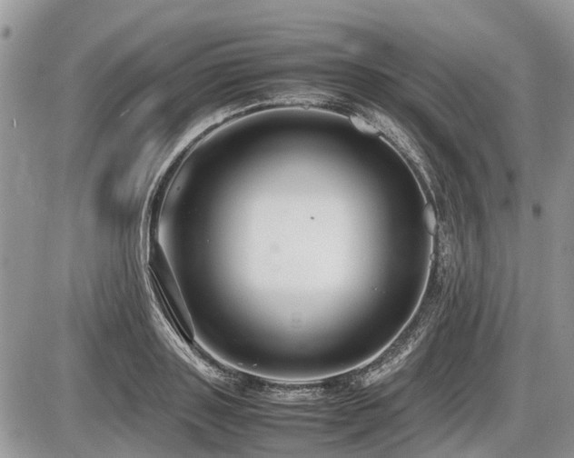 X0000086760843200704131114