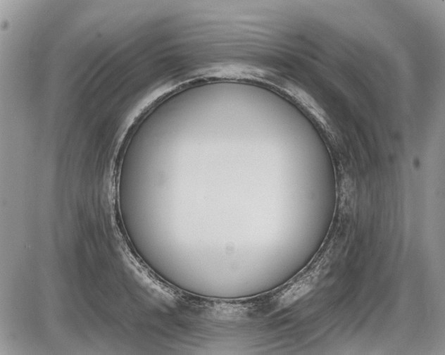 X0000086760848200704131114