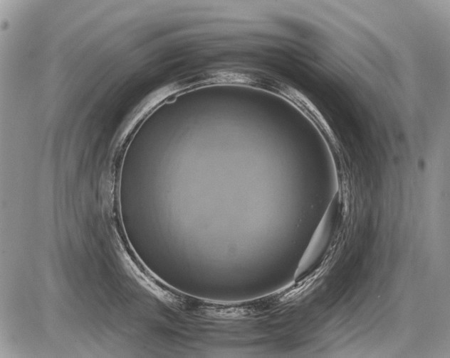 X0000086760851200704131114