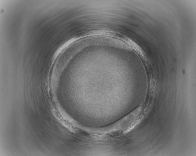 X0000086760854200704131114