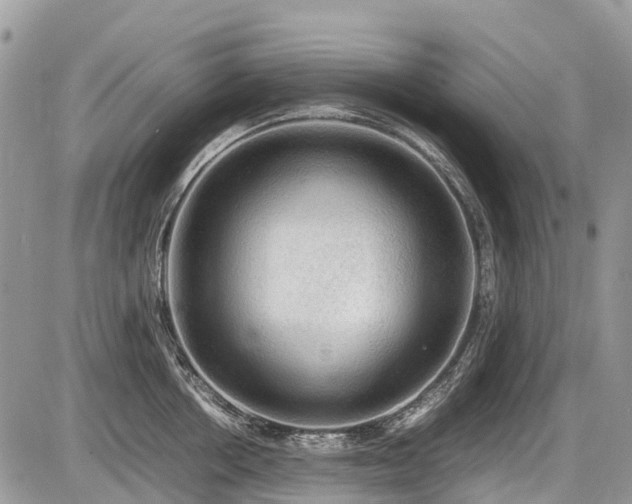 X0000086760858200704131114