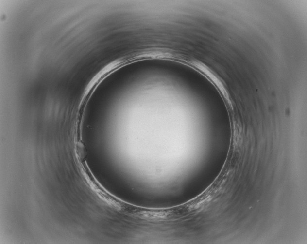 X0000086760861200704131114
