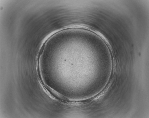 X0000086760862200704131114